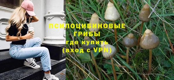 амфетамин Белокуриха