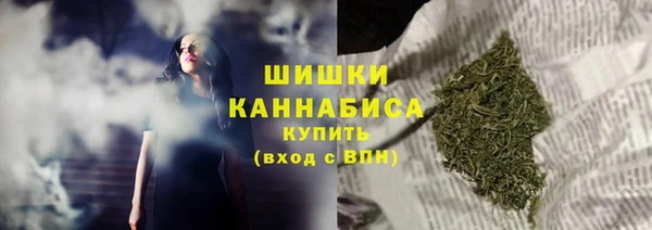 дурь Богородицк