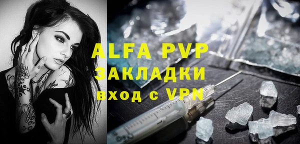 стаф Осинники