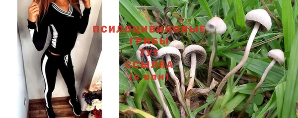 шишки Богданович