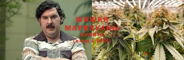 амфетамин Белокуриха